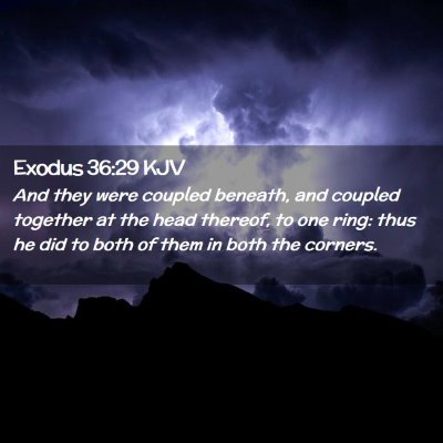 Picture 02 - Exodus 36:29 KJV - And they were coupled beneath, and coupled - Bible Verse Picture