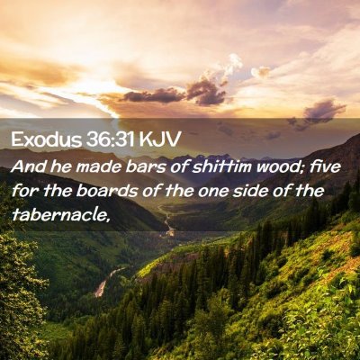 Picture 02 - Exodus 36:31 KJV - And he made bars of shittim wood; five for the - Bible Verse Picture