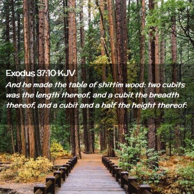 Picture 02 - Exodus 37:10 KJV - And he made the table of shittim wood: two cubits - Bible Verse Picture