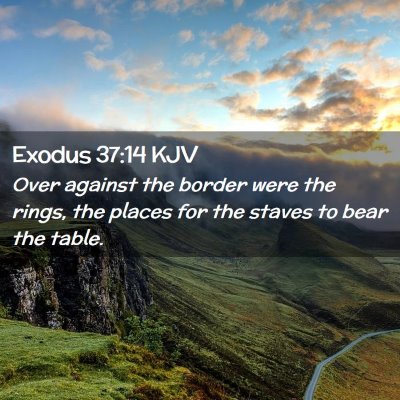 Picture 02 - Exodus 37:14 KJV - Over against the border were the rings, the - Bible Verse Picture