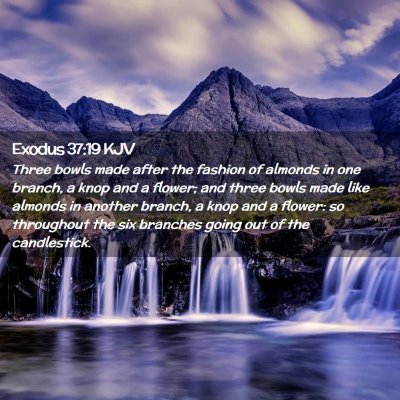 Picture 02 - Exodus 37:19 KJV - Three bowls made after the fashion of almonds in - Bible Verse Picture