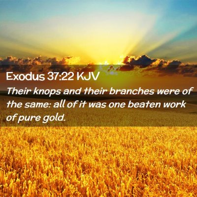Picture 02 - Exodus 37:22 KJV - Their knops and their branches were of the same: - Bible Verse Picture