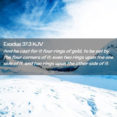 Picture 02 - Exodus 37:3 KJV - And he cast for it four rings of gold, to be set - Bible Verse Picture