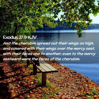 Picture 02 - Exodus 37:9 KJV - And the cherubim spread out their wings on high, - Bible Verse Picture