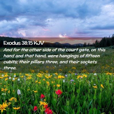 Picture 02 - Exodus 38:15 KJV - And for the other side of the court gate, on this - Bible Verse Picture