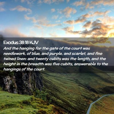 Picture 02 - Exodus 38:18 KJV - And the hanging for the gate of the court was - Bible Verse Picture