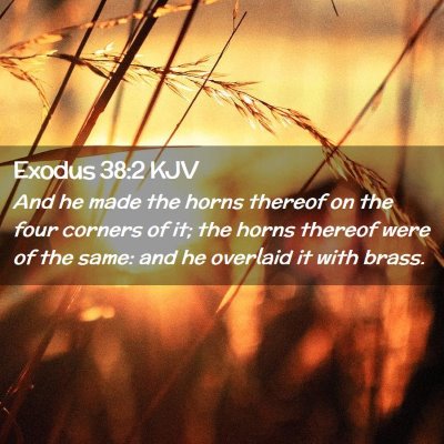 Picture 02 - Exodus 38:2 KJV - And he made the horns thereof on the four corners - Bible Verse Picture