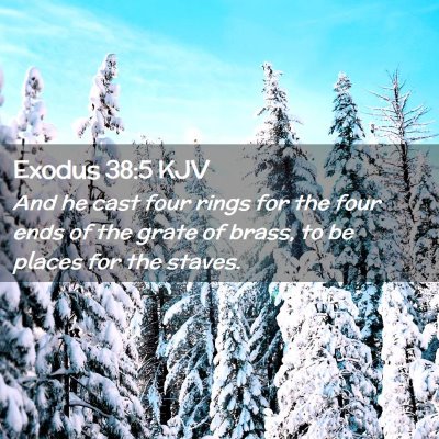 Picture 02 - Exodus 38:5 KJV - And he cast four rings for the four ends of the - Bible Verse Picture