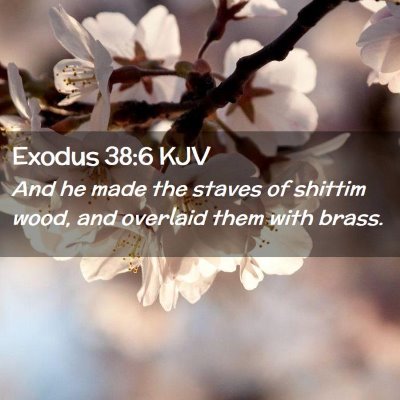 Picture 02 - Exodus 38:6 KJV - And he made the staves of shittim wood, and - Bible Verse Picture