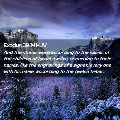 Picture 02 - Exodus 39:14 KJV - And the stones were according to the names of the - Bible Verse Picture