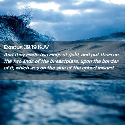 Picture 02 - Exodus 39:19 KJV - And they made two rings of gold, and put them on - Bible Verse Picture