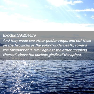 Picture 02 - Exodus 39:20 KJV - And they made two other golden rings, and put - Bible Verse Picture