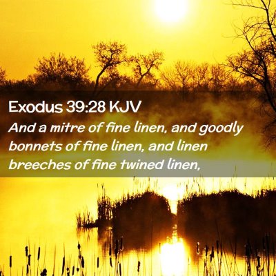 Picture 02 - Exodus 39:28 KJV - And a mitre of fine linen, and goodly bonnets of - Bible Verse Picture