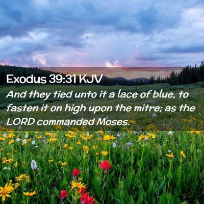 Picture 02 - Exodus 39:31 KJV - And they tied unto it a lace of blue, to fasten - Bible Verse Picture