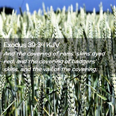 Picture 02 - Exodus 39:34 KJV - And the covering of rams' skins dyed red, and the - Bible Verse Picture