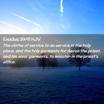 Picture 02 - Exodus 39:41 KJV - The cloths of service to do service in the holy - Bible Verse Picture