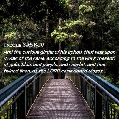Picture 02 - Exodus 39:5 KJV - And the curious girdle of his ephod, that was - Bible Verse Picture