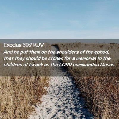 Picture 02 - Exodus 39:7 KJV - And he put them on the shoulders of the ephod, - Bible Verse Picture