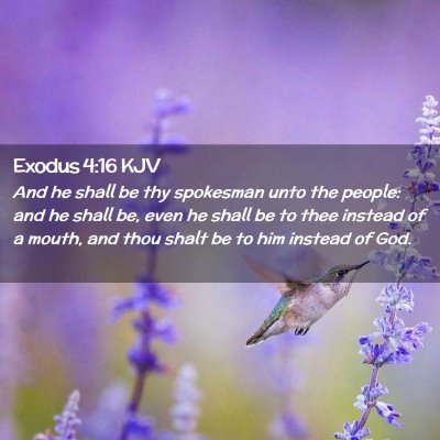 Picture 02 - Exodus 4:16 KJV - And he shall be thy spokesman unto the people: - Bible Verse Picture