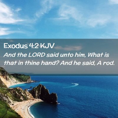 Picture 02 - Exodus 4:2 KJV - And the LORD said unto him, What is that in thine - Bible Verse Picture