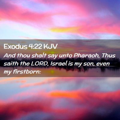 Picture 02 - Exodus 4:22 KJV - And thou shalt say unto Pharaoh, Thus saith the - Bible Verse Picture