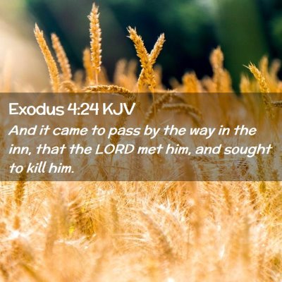 Picture 02 - Exodus 4:24 KJV - And it came to pass by the way in the inn, that - Bible Verse Picture
