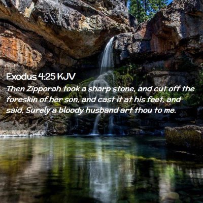 Picture 02 - Exodus 4:25 KJV - Then Zipporah took a sharp stone, and cut off the - Bible Verse Picture