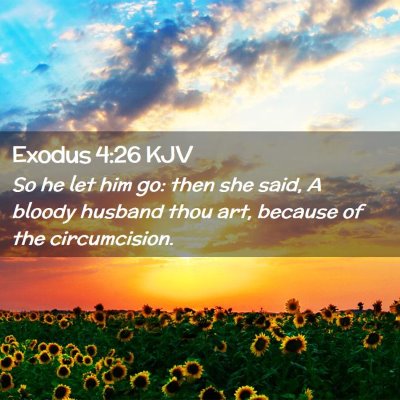 Picture 02 - Exodus 4:26 KJV - So he let him go: then she said, A bloody husband - Bible Verse Picture