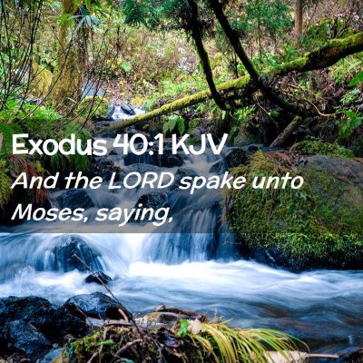 Picture 02 - Exodus 40:1 KJV - And the LORD spake unto Moses, - Bible Verse Picture