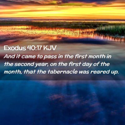 Picture 02 - Exodus 40:17 KJV - And it came to pass in the first month in the - Bible Verse Picture