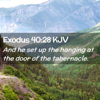 Picture 02 - Exodus 40:28 KJV - And he set up the hanging at the door of the - Bible Verse Picture