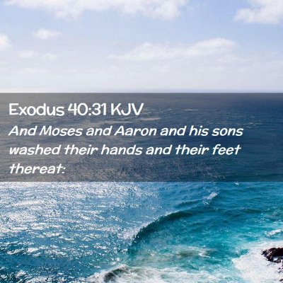 Picture 02 - Exodus 40:31 KJV - And Moses and Aaron and his sons washed their - Bible Verse Picture
