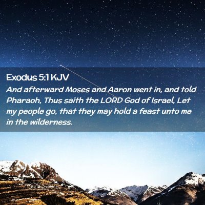 Picture 02 - Exodus 5:1 KJV - And afterward Moses and Aaron went in, and told - Bible Verse Picture