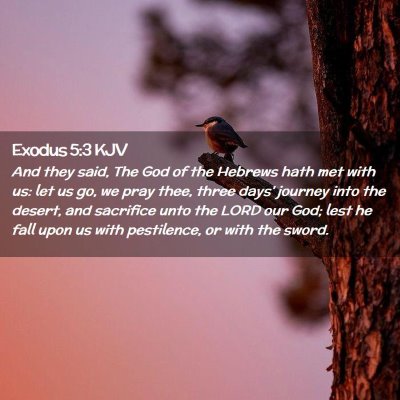 Picture 02 - Exodus 5:3 KJV - And they said, The God of the Hebrews hath met - Bible Verse Picture