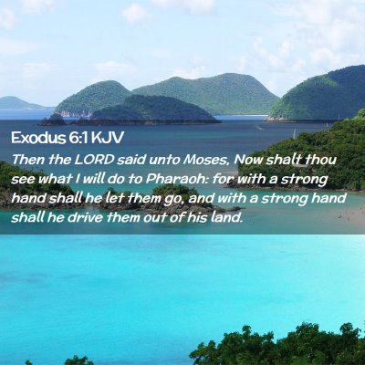 Picture 02 - Exodus 6:1 KJV - Then the LORD said unto Moses, Now shalt thou see - Bible Verse Picture