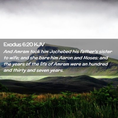 Picture 02 - Exodus 6:20 KJV - And Amram took him Jochebed his father's sister - Bible Verse Picture