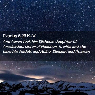 Picture 02 - Exodus 6:23 KJV - And Aaron took him Elisheba, daughter of - Bible Verse Picture
