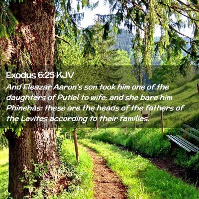 Picture 02 - Exodus 6:25 KJV - And Eleazar Aaron's son took him one of the - Bible Verse Picture