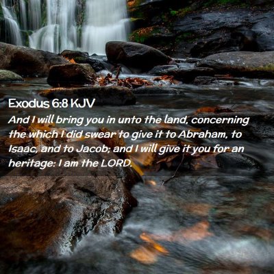 Picture 02 - Exodus 6:8 KJV - And I will bring you in unto the land, concerning - Bible Verse Picture