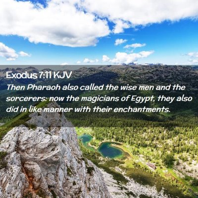 Picture 02 - Exodus 7:11 KJV - Then Pharaoh also called the wise men and the - Bible Verse Picture