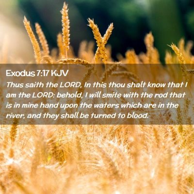 Picture 02 - Exodus 7:17 KJV - Thus saith the LORD, In this thou shalt know that - Bible Verse Picture