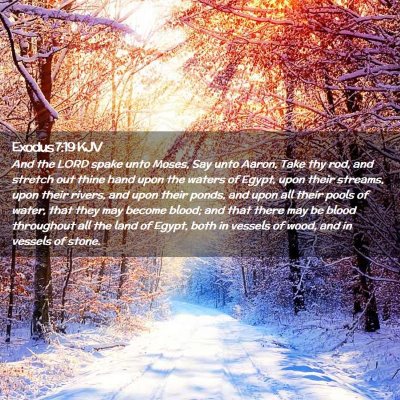 Picture 02 - Exodus 7:19 KJV - And the LORD spake unto Moses, Say unto Aaron, - Bible Verse Picture