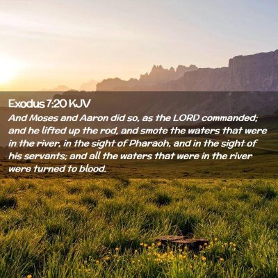 Picture 02 - Exodus 7:20 KJV - And Moses and Aaron did so, as the LORD - Bible Verse Picture