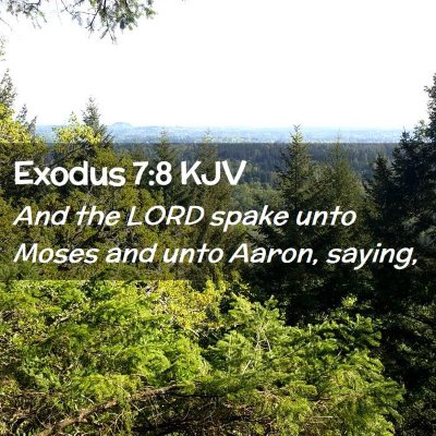 Picture 02 - Exodus 7:8 KJV - And the LORD spake unto Moses and unto Aaron, - Bible Verse Picture