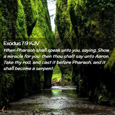Picture 02 - Exodus 7:9 KJV - When Pharaoh shall speak unto you, saying, Show a - Bible Verse Picture