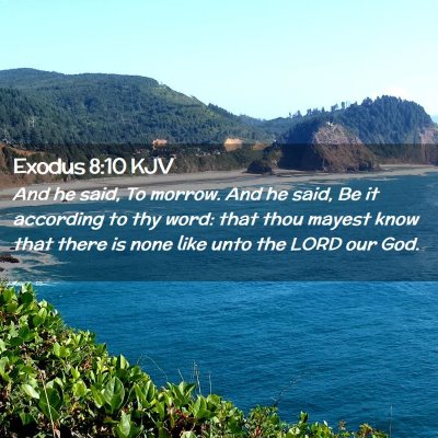 Picture 02 - Exodus 8:10 KJV - And he said, To morrow. And he said, Be it - Bible Verse Picture
