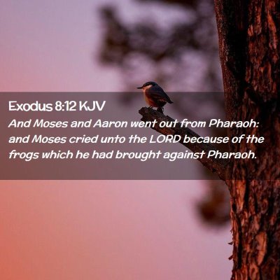 Picture 02 - Exodus 8:12 KJV - And Moses and Aaron went out from Pharaoh: and - Bible Verse Picture