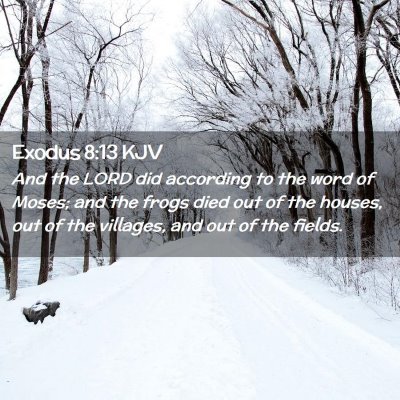 Picture 02 - Exodus 8:13 KJV - And the LORD did according to the word of Moses; - Bible Verse Picture