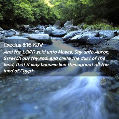 Picture 02 - Exodus 8:16 KJV - And the LORD said unto Moses, Say unto Aaron, - Bible Verse Picture