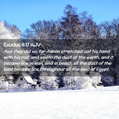 Picture 02 - Exodus 8:17 KJV - And they did so; for Aaron stretched out his hand - Bible Verse Picture